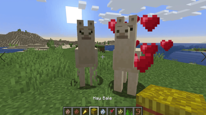 What Do Llamas Eat In Minecraft?