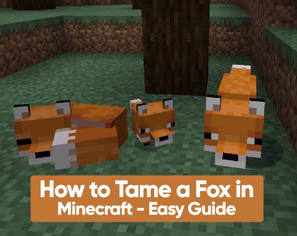What Do Red Foxes Eat In Minecraft
