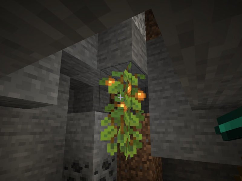 What do you use glow berries for in Minecraft?